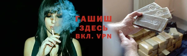 стаф Алексин