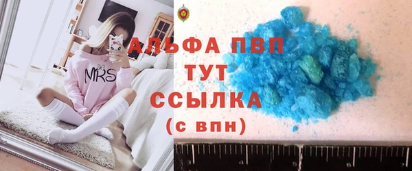 стаф Алексин